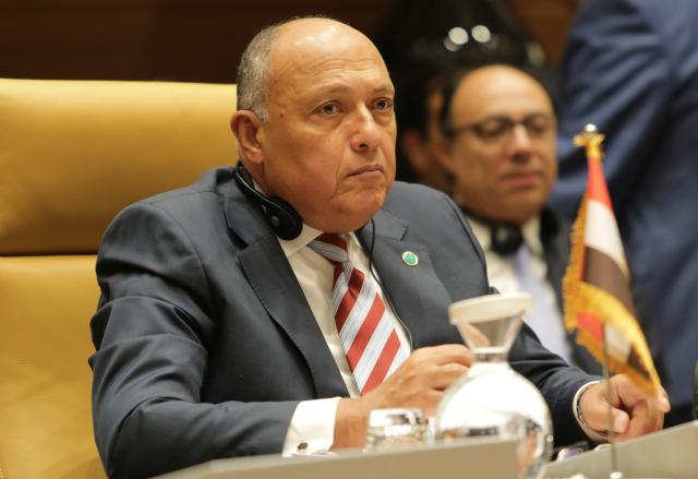 وزير الخارجية سامح شكري