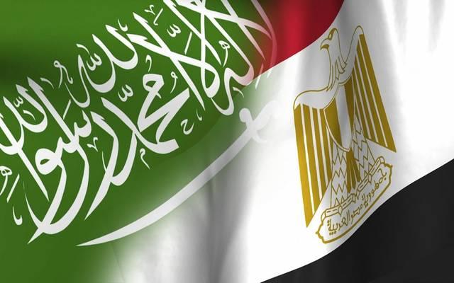 علما مصر والسعودية