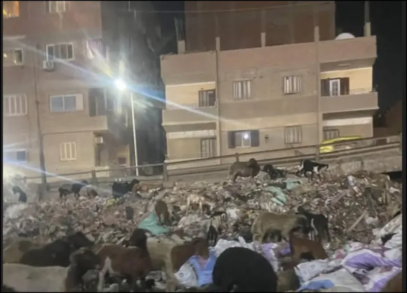 تراكم القمامة على كوبري محمد نجيب يثير غضب الأهالي.. أزمة النظافة تتفاقم في حي المرج