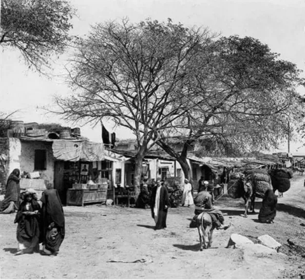 حي المرج قبل 100 عام .. كيف كان وماذا أصبح؟ (صور أبيض وأسود)