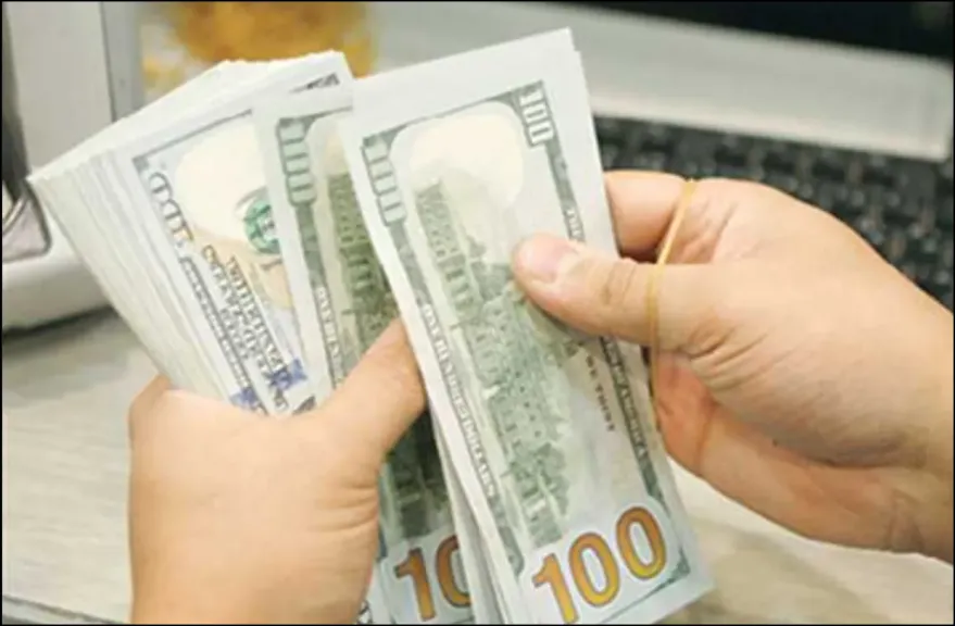 الدولار يواصل الهبوط أمام الجنيه .. سعر الدولار في مصر اليوم الأحد 14-9-2025