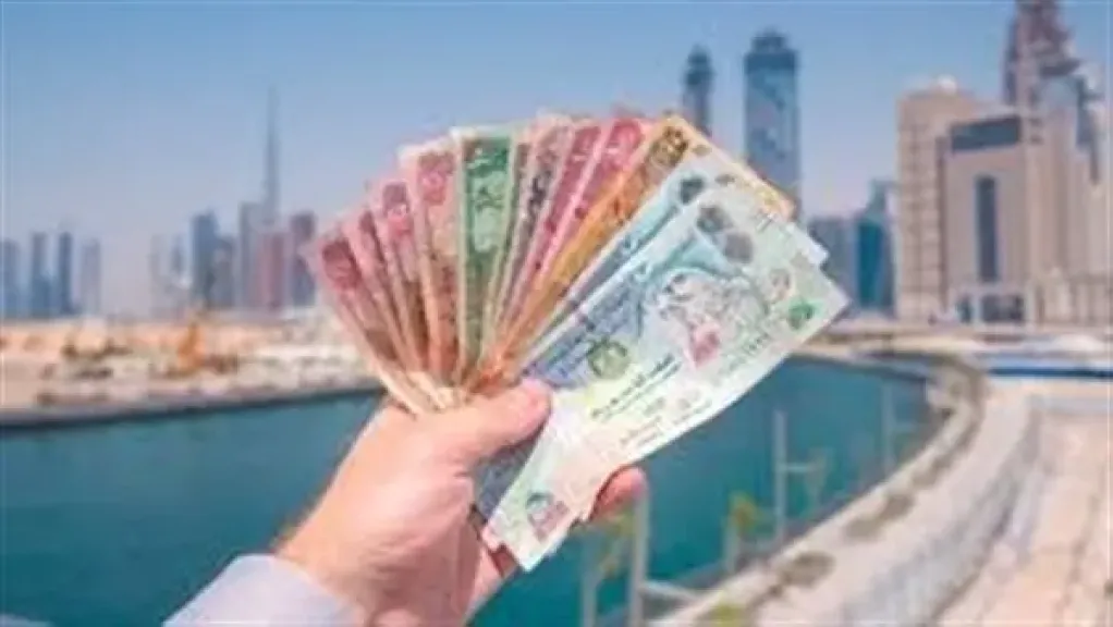 سعر الدرهم الإماراتي مقابل الجنيه المصري اليوم الأربعاء 8 أكتوبر 2025
