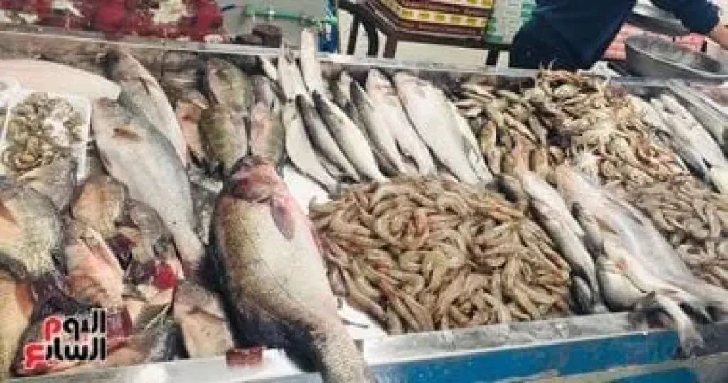 أسعار الأسماك اليوم الأحد 12-10-2025 بأسواق مطروح.. المرجان بـ180 جنيها