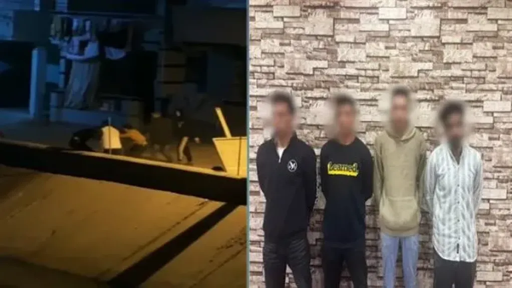 المتهمين