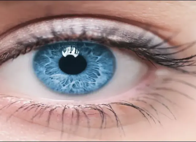 إنجاز طبي يرفع راية مصر عالميًا.. نجاح باهر لفريق جراحة الأورام بالصعيد