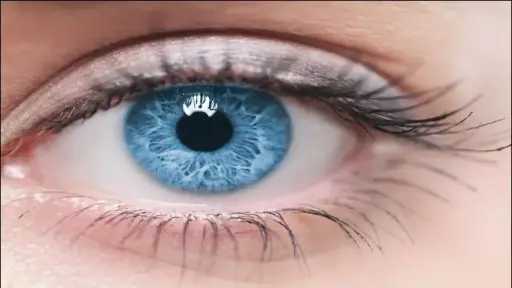 إنجاز طبي يرفع راية مصر عالميًا.. نجاح باهر لفريق جراحة الأورام بالصعيد