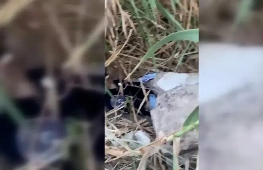 عناصر الشرطة اللبنانية