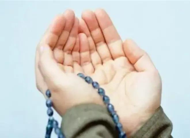 مصر تضبط مجرمًا غسل 3 ملايين دولار من تجارة المخدرات