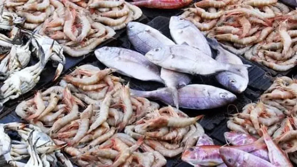 أسعار الأسماك اليوم السبت 29 نوفمبر 2025 في الأسواق المصرية