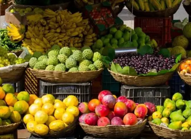 سعر الفاكهة اليوم السبت 29/11/2025 في مصر.. انخفاض اليوسفي والتين وارتفاع العنب