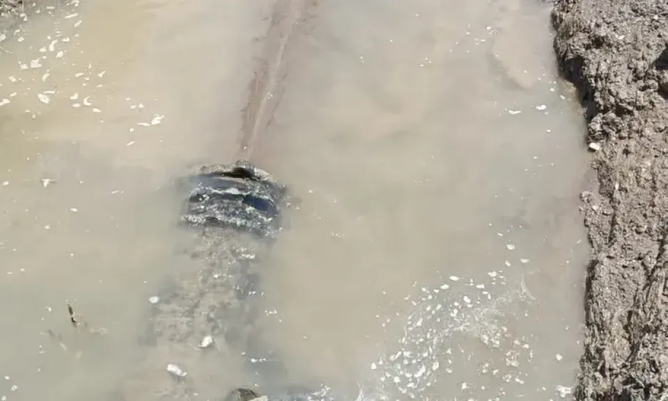 إيقاف محطتين لمياه الشرب بسبب بقعة زيت في مجرى النيل بمصر