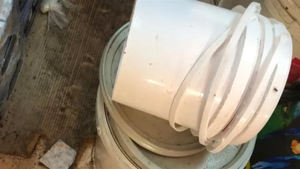 ضبط 600 كجم جبنة ولانشون غير مطابقين للمواصفات داخل مخزن ببنها