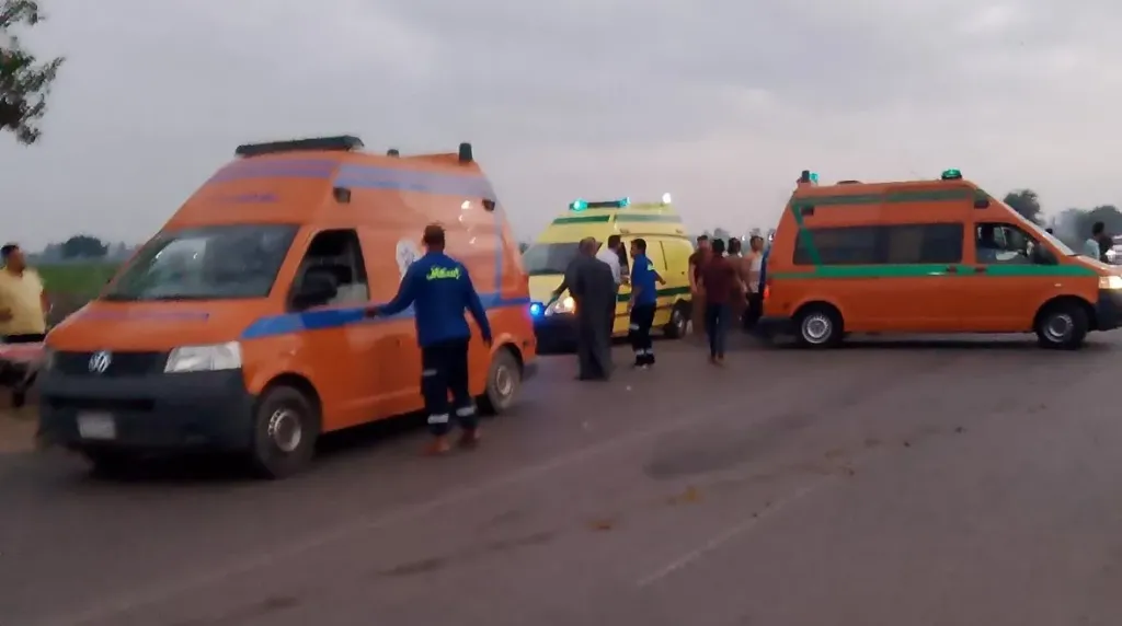 بعد تعطل الخط الساخن 123.. إسعاف الفيوم يعلن أرقامًا بديلة لتلقي البلاغات