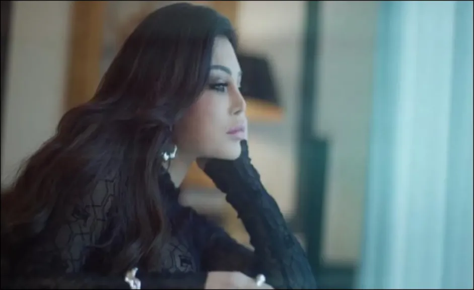 تسريب فيديو هيفاء وهبي الجديد مع زوجها.. تفاصيل كاملة