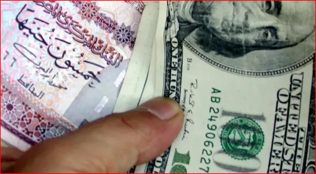 الـ 100 دولار تعمل كم جنيه مصري النهاردة؟ .. سعر الدولار الأمريكي مقابل الجنيه اليوم السبت 3-1-2026