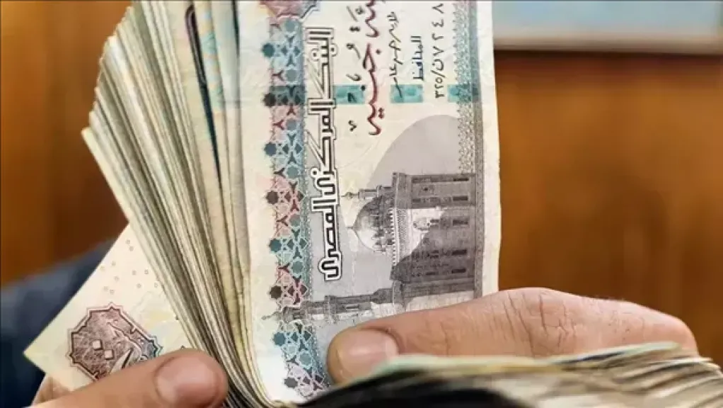 كيف استفادت البنوك المصرية من خفض الفائدة في 2025؟