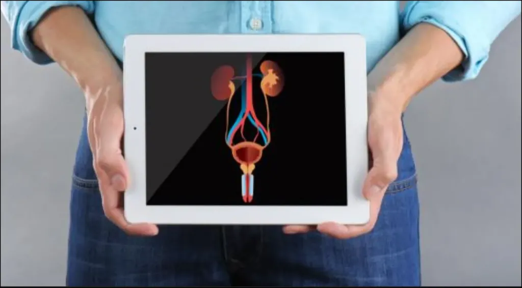 تفسير حلم الجماع والعضو الذكري في المنام